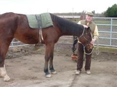 arlxdm