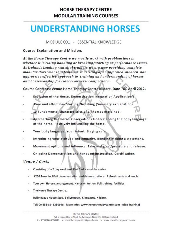 Understanding Series Flyer